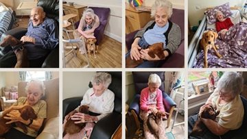 Pet therapy with Mila and Rolex for Burntwood care home Residents